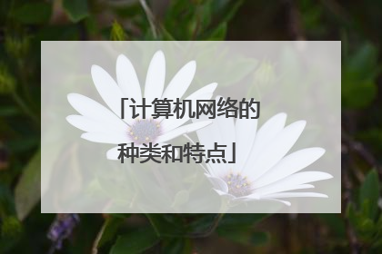计算机网络的种类和特点