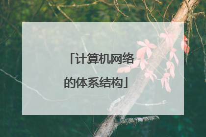 计算机网络的体系结构
