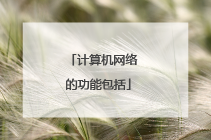 计算机网络的功能包括