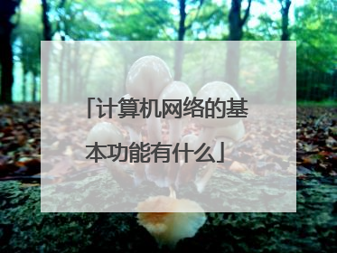 计算机网络的基本功能有什么