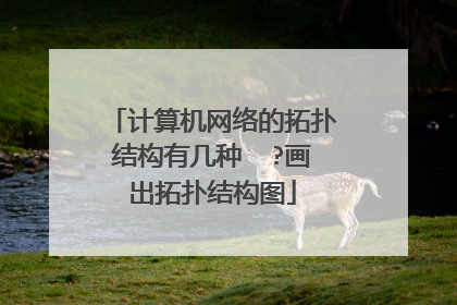 计算机网络的拓扑结构有几种  ?画出拓扑结构图