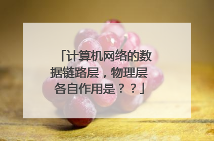 计算机网络的数据链路层,物理层各自作用是??