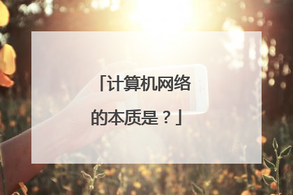 计算机网络的本质是?