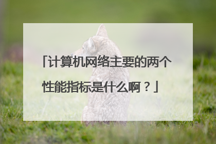 计算机网络主要的两个性能指标是什么啊？