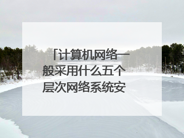 计算机网络一般采用什么五个层次网络系统安全体系结构