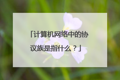 计算机网络中的协议族是指什么？