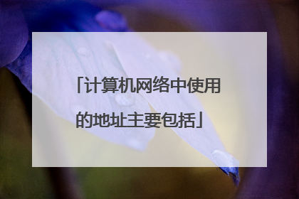 计算机网络中使用的地址主要包括