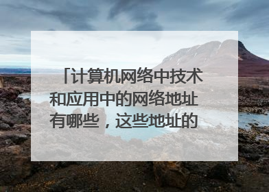计算机网络中技术和应用中的网络地址有哪些，这些地址的作用如题 谢谢了