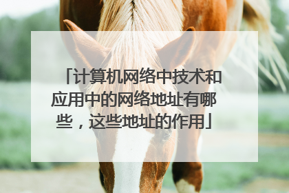 计算机网络中技术和应用中的网络地址有哪些，这些地址的作用