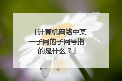 计算机网络中某一子网的子网号指的是什么?