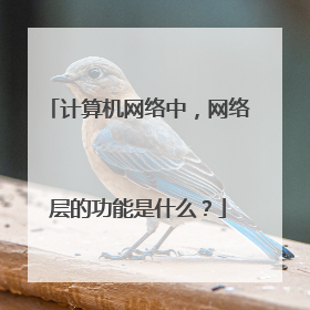 计算机网络中，网络层的功能是什么？
