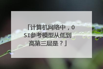 计算机网络中,OSI参考模型从低到高第三层是?