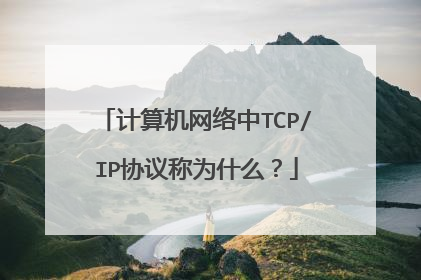 计算机网络中TCP/IP协议称为什么？
