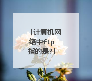计算机网络中ftp指的是?