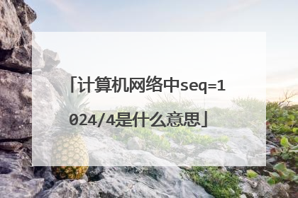 计算机网络中seq=1024/4是什么意思