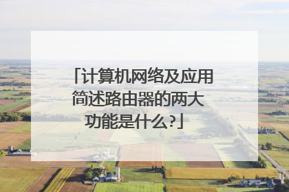 计算机网络及应用 简述路由器的两大功能是什么?