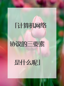 计算机网络协议的三要素是什么呢