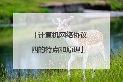 计算机网络协议四的特点和原理