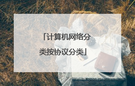 计算机网络分类按协议分类
