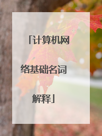 计算机网络基础名词解释