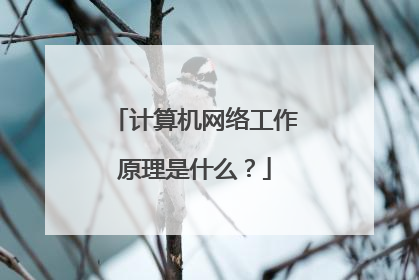 计算机网络工作原理是什么?