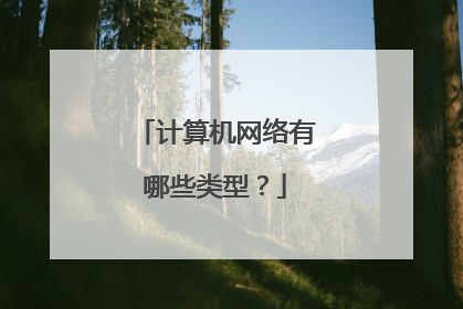 计算机网络有哪些类型？
