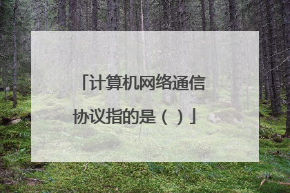 计算机网络通信协议指的是（）