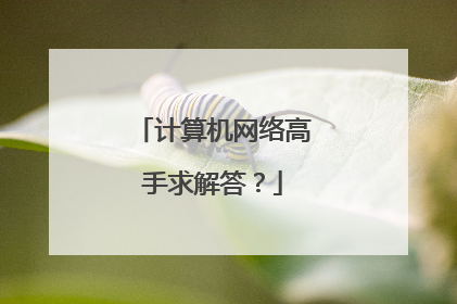计算机网络高手求解答？