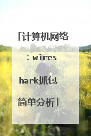 计算机网络:wireshark抓包简单分析