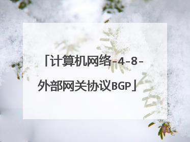 计算机网络-4-8-外部网关协议BGP