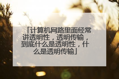 计算机网路里面经常讲透明性,透明传输,到底什么是透明性,什么是透明传输