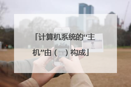 计算机系统的“主机”由( )构成