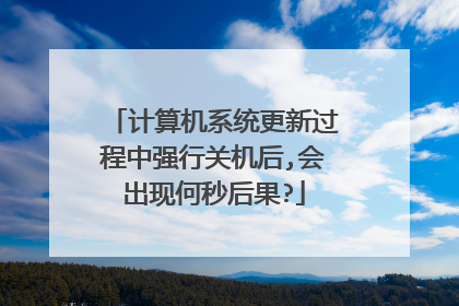 计算机系统更新过程中强行关机后,会出现何秒后果?