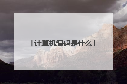 计算机编码是什么