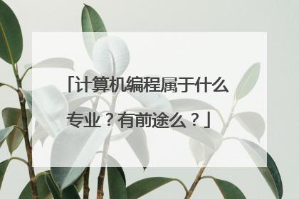 计算机编程属于什么专业？有前途么？