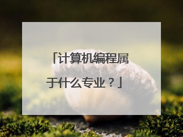 计算机编程属于什么专业？