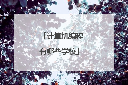 计算机编程有哪些学校