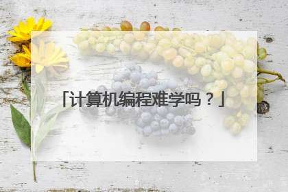计算机编程难学吗?