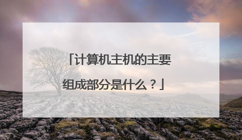 计算机主机的主要组成部分是什么？