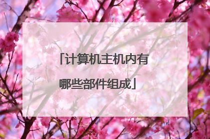 计算机主机内有哪些部件组成