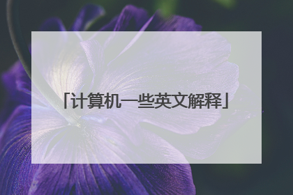 计算机一些英文解释