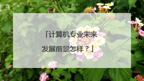 计算机专业未来发展前景怎样？