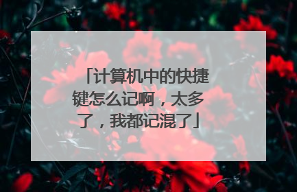 计算机中的快捷键怎么记啊,太多了,我都记混了