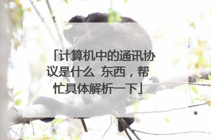 计算机中的通讯协议是什么 东西,帮忙具体解析一下