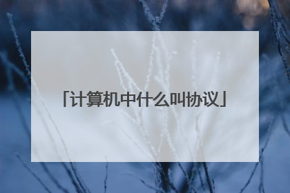 计算机中什么叫协议