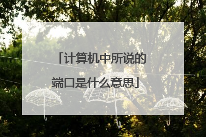 计算机中所说的端口是什么意思