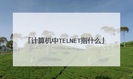 计算机中TELNET指什么