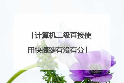 计算机二级直接使用快捷键有没有分