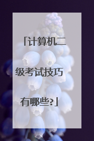 计算机二级考试技巧有哪些?