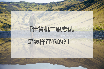 计算机二级考试是怎样评卷的?